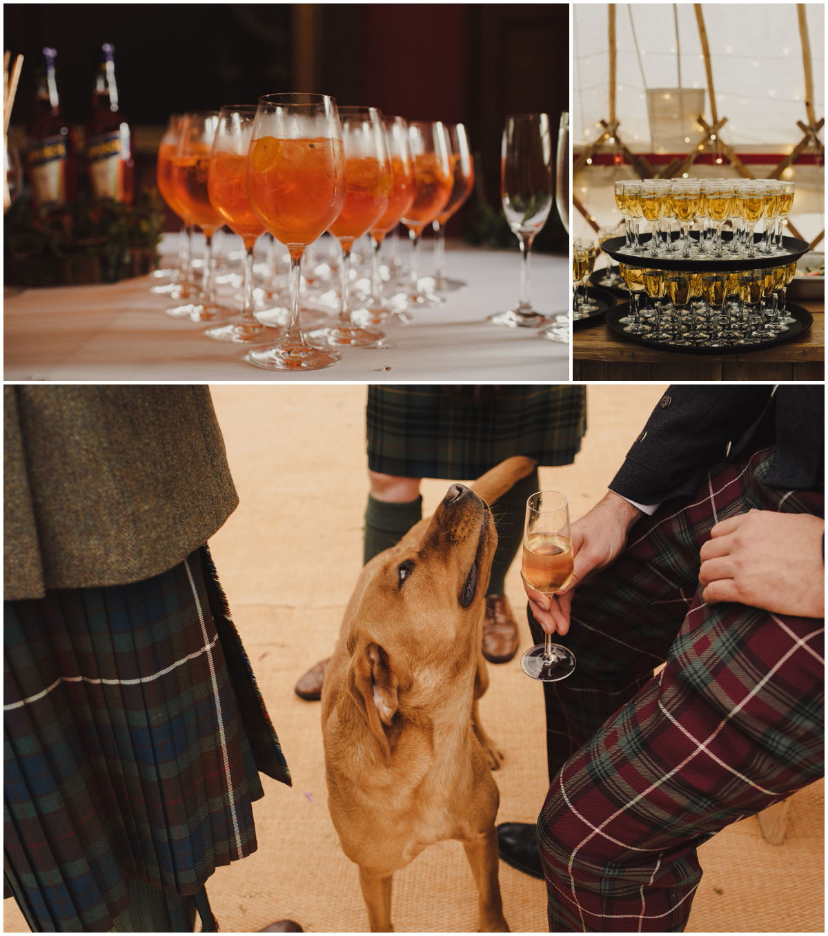 dogs at weddings