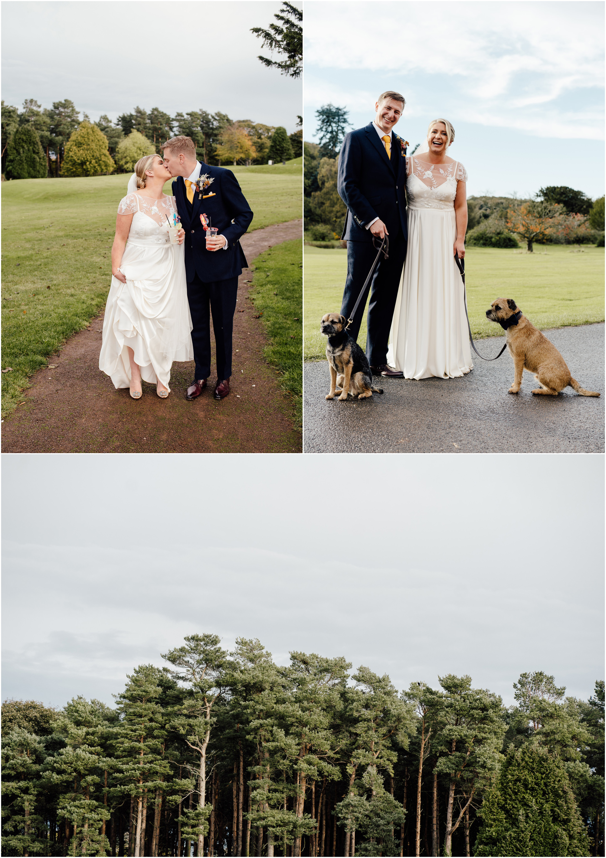 dogs at weddings